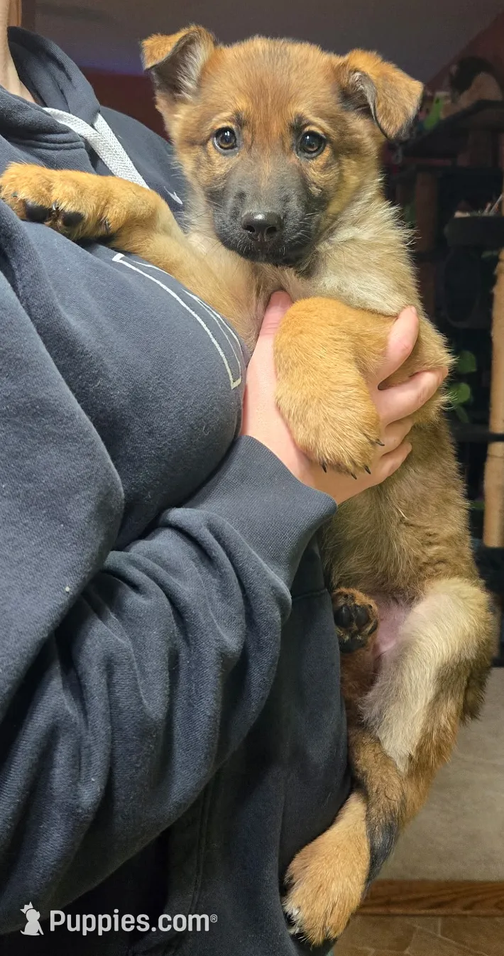 processed/a167655a-d47c-4596-a45d-4d188b9928b1/listing/dea34209-0a39-4eba-a680-8e31200cff22/4cfeaa21-9727-49fa-ac97-42da4c057554