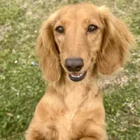 processed/a176b49f-31d0-4b77-a5e5-685656a24443/facility/1f9636f5-1b7c-482b-8650-f91f187bd54e