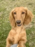 processed/a176b49f-31d0-4b77-a5e5-685656a24443/facility/1f9636f5-1b7c-482b-8650-f91f187bd54e