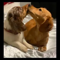 processed/a176b49f-31d0-4b77-a5e5-685656a24443/facility/32ac1b5c-528e-4c9a-a4ce-01fa3b7e6a9c