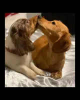 processed/a176b49f-31d0-4b77-a5e5-685656a24443/facility/32ac1b5c-528e-4c9a-a4ce-01fa3b7e6a9c