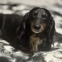 processed/a176b49f-31d0-4b77-a5e5-685656a24443/facility/3877f636-c588-468d-99d8-b34194931db0