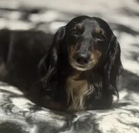 processed/a176b49f-31d0-4b77-a5e5-685656a24443/facility/3877f636-c588-468d-99d8-b34194931db0