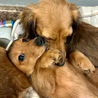 processed/a176b49f-31d0-4b77-a5e5-685656a24443/facility/6a78d382-5960-4b4d-b8b2-ee8babcc823c