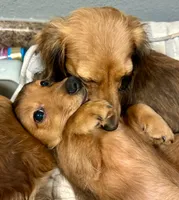 processed/a176b49f-31d0-4b77-a5e5-685656a24443/facility/6a78d382-5960-4b4d-b8b2-ee8babcc823c