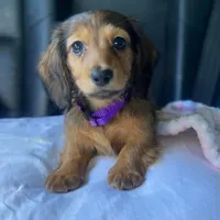 processed/a176b49f-31d0-4b77-a5e5-685656a24443/facility/a17a45eb-7883-4d80-ac17-6d942ae1bbe1