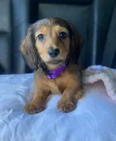 processed/a176b49f-31d0-4b77-a5e5-685656a24443/facility/a17a45eb-7883-4d80-ac17-6d942ae1bbe1