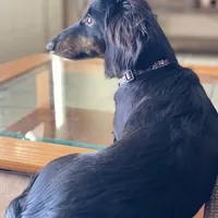 processed/a176b49f-31d0-4b77-a5e5-685656a24443/facility/d92daa68-cca1-49be-bc58-0b645a2bf8b5