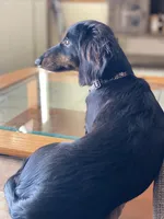 processed/a176b49f-31d0-4b77-a5e5-685656a24443/facility/d92daa68-cca1-49be-bc58-0b645a2bf8b5