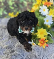 processed/a179c0ef-9b80-4337-961d-3ad1cec14422/listing/5413a336-00bf-47a6-adf2-0f3ab2526a25/46ca2431-239f-43d5-ac53-5059619ba446