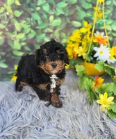 processed/a179c0ef-9b80-4337-961d-3ad1cec14422/listing/c3c4fb93-2696-41dd-9cd1-fcb1656d42ed/bc405065-9fcf-466e-ba7d-6b2d1e2ebffb