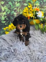 processed/a179c0ef-9b80-4337-961d-3ad1cec14422/listing/c3c4fb93-2696-41dd-9cd1-fcb1656d42ed/c0d6eb8b-2327-4018-950f-e9a206e6d3ed