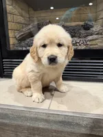 processed/a17c3dd5-edd4-4402-b487-7083d207d435/listing/50a51eab-1d44-42fe-b301-21da12c84465/04de7382-009e-4c54-8bf4-5771f939b136