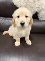 processed/a17c3dd5-edd4-4402-b487-7083d207d435/listing/50a51eab-1d44-42fe-b301-21da12c84465/0f04242b-d68f-4be3-9ddc-e6c6cfe93771