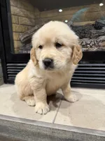 processed/a17c3dd5-edd4-4402-b487-7083d207d435/listing/50a51eab-1d44-42fe-b301-21da12c84465/15c7137e-924e-4ea2-bc51-59305a4dadce