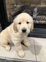 processed/a17c3dd5-edd4-4402-b487-7083d207d435/listing/50a51eab-1d44-42fe-b301-21da12c84465/9545835c-0b50-4254-804c-13f9c0920b89