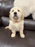 processed/a17c3dd5-edd4-4402-b487-7083d207d435/listing/50a51eab-1d44-42fe-b301-21da12c84465/d3e11f2b-e1d9-4670-a7f5-11dfd25e0a4a