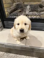 processed/a17c3dd5-edd4-4402-b487-7083d207d435/listing/50a51eab-1d44-42fe-b301-21da12c84465/e223c904-dc09-4943-9742-72694e32c300