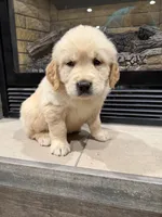 processed/a17c3dd5-edd4-4402-b487-7083d207d435/listing/50a51eab-1d44-42fe-b301-21da12c84465/f4f2e5e5-7291-4cbb-9f7a-baab638409e6