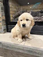 processed/a17c3dd5-edd4-4402-b487-7083d207d435/listing/50a51eab-1d44-42fe-b301-21da12c84465/f93e269d-f3b3-4c8d-8270-cf2ef4d7b8e6