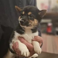 processed/a1851729-98ff-45ae-a67a-e03b28bfb007/listing/03e85c1f-df9a-4ce0-b6ae-8046201073eb/6e7d71a3-a2f4-42c7-9e12-4cb3ceaefd70