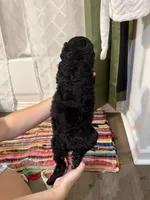 One, a male Labradoodle for sale in Tallassee, AL – 2 of 2