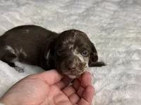 processed/a18e735c-604c-4032-8ca2-8e05b634e4f2/listing/17596b2d-614c-4f34-afa1-4df4f09d0f17/01deab9d-45cc-462e-81a0-6b0fc2fcedbd