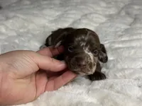 processed/a18e735c-604c-4032-8ca2-8e05b634e4f2/listing/17596b2d-614c-4f34-afa1-4df4f09d0f17/3db23444-69c7-4ede-8d67-67aeaca81ec5