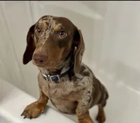 processed/a18e735c-604c-4032-8ca2-8e05b634e4f2/listing/17596b2d-614c-4f34-afa1-4df4f09d0f17/9a56fb98-2fc8-4847-a92c-23a9b8554eb2