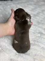 processed/a18e735c-604c-4032-8ca2-8e05b634e4f2/listing/17596b2d-614c-4f34-afa1-4df4f09d0f17/ccfc50be-0522-4a27-b4cc-006a4cfbd760