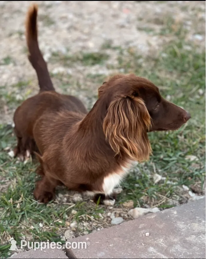 processed/a18e735c-604c-4032-8ca2-8e05b634e4f2/listing/286693f3-3cd8-48ba-8ab2-4ee02a0fc1b3/0296e16c-511e-4dfa-8f4c-fc2ac4e09800