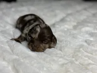 processed/a18e735c-604c-4032-8ca2-8e05b634e4f2/listing/286693f3-3cd8-48ba-8ab2-4ee02a0fc1b3/0ee0f9d6-707e-4f18-84d9-8a8a2c71c054