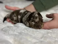 processed/a18e735c-604c-4032-8ca2-8e05b634e4f2/listing/286693f3-3cd8-48ba-8ab2-4ee02a0fc1b3/41dcddb8-9b72-4df3-973e-b37a7015b961