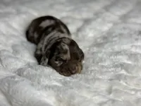 processed/a18e735c-604c-4032-8ca2-8e05b634e4f2/listing/286693f3-3cd8-48ba-8ab2-4ee02a0fc1b3/4d08b70f-9c15-48a6-8444-fbbbebe9a9e5