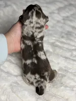 processed/a18e735c-604c-4032-8ca2-8e05b634e4f2/listing/286693f3-3cd8-48ba-8ab2-4ee02a0fc1b3/71f5a9bf-cc06-4d96-aefa-c8f9b8a0f0c4