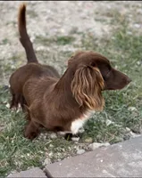 processed/a18e735c-604c-4032-8ca2-8e05b634e4f2/listing/605d177a-3f2a-4679-88ee-51d60676521d/9e91918d-4641-49fa-8821-f50851c88636