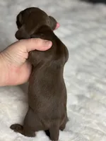 processed/a18e735c-604c-4032-8ca2-8e05b634e4f2/listing/605d177a-3f2a-4679-88ee-51d60676521d/a196b57a-c2d3-4ce8-a403-edb85a40a302