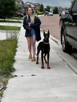 processed/a1b00c20-daff-4476-b227-b62a6cf60887/facility/60c95d02-e249-40a7-941c-a469fe291abb