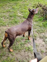 processed/a1b00c20-daff-4476-b227-b62a6cf60887/facility/c1e5a84f-13af-4251-a851-e4d4a7e95c60