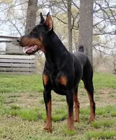 processed/a1b00c20-daff-4476-b227-b62a6cf60887/facility/d3b26f41-eb91-4598-bb22-800d3f8971ad