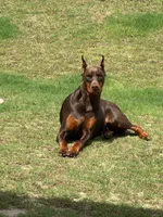 processed/a1b00c20-daff-4476-b227-b62a6cf60887/facility/ea859c0e-322e-465d-a940-3f289c948f78