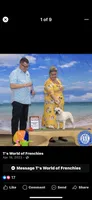 AKC Champion Sired Colby, a male French Bulldog for sale in Danielsville, GA – 5 of 6