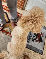 Elisha, a female Miniature Goldendoodle for sale in Dandridge, TN – Photo 8 of 9