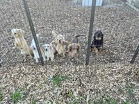 processed/a1c95863-9498-4356-9231-483796bbd0a2/facility/afd3a47c-08c6-4c54-880b-d2fb29c20627