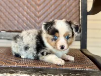 processed/a1cb784f-6fa2-4530-ae78-861aa5368344/listing/ff9d90e3-6b97-4863-9f80-33a2d2bf9354/1f5f3b72-7c89-4919-a660-66b09a3e887f