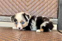 processed/a1cb784f-6fa2-4530-ae78-861aa5368344/listing/ff9d90e3-6b97-4863-9f80-33a2d2bf9354/944c4974-298b-49d5-8375-7902a0772b95