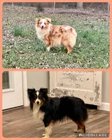 processed/a1cb784f-6fa2-4530-ae78-861aa5368344/listing/ff9d90e3-6b97-4863-9f80-33a2d2bf9354/b84e70e2-b018-4eac-82c0-f6829edf7fb2