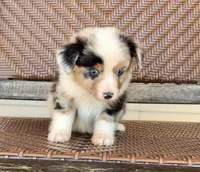 processed/a1cb784f-6fa2-4530-ae78-861aa5368344/listing/ff9d90e3-6b97-4863-9f80-33a2d2bf9354/e5a51787-6c5e-490f-8e47-6ec26f2eb02a