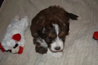 processed/a1ce10fe-7cfd-48d6-b2e8-76306c801c39/listing/9fb2239d-5c76-43ab-902e-4f1651c14c92/101f3959-bd2d-4f77-bc54-4123915c5147