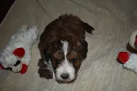 processed/a1ce10fe-7cfd-48d6-b2e8-76306c801c39/listing/9fb2239d-5c76-43ab-902e-4f1651c14c92/86a89d62-c1c5-42a9-99ef-b62195a77255